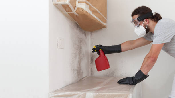 Professional Hvac And Air Duct Mold Remediation technician working in East Northport, NY